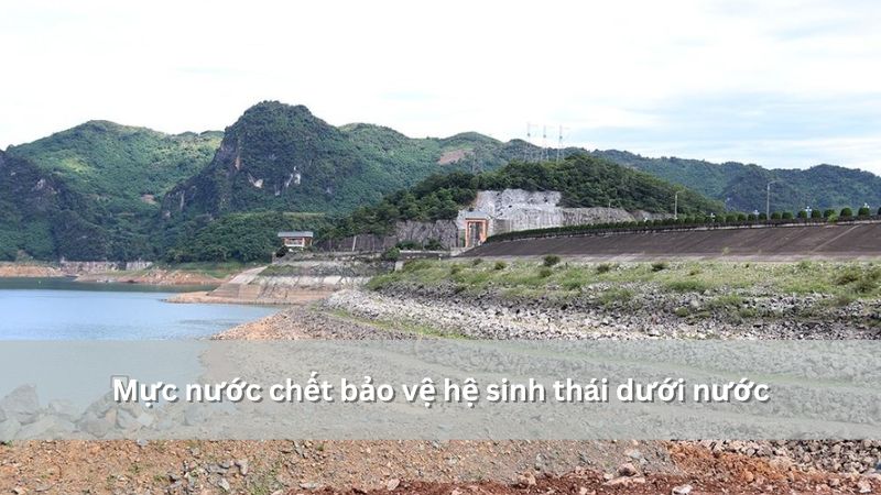 Mực nước chết bảo vệ hệ sinh thái