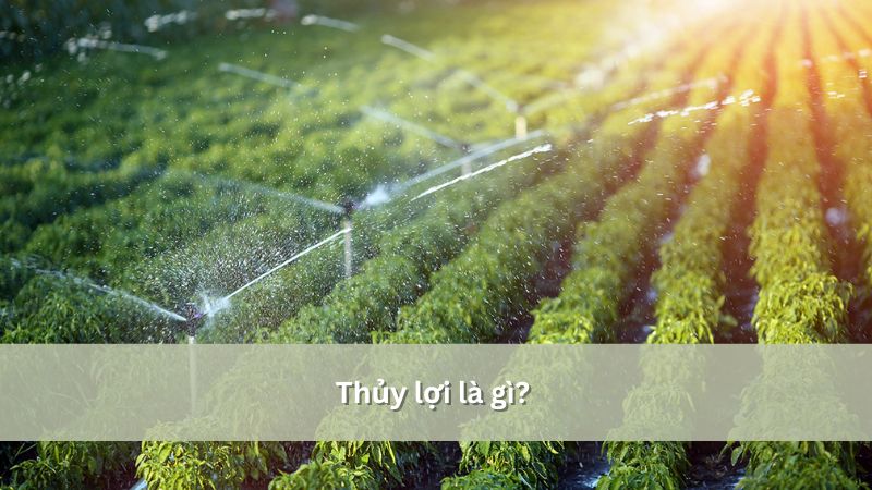 Thủy lợi là gì? Tác động của thủy lợi đến các khía cạnh trong cuộc sống