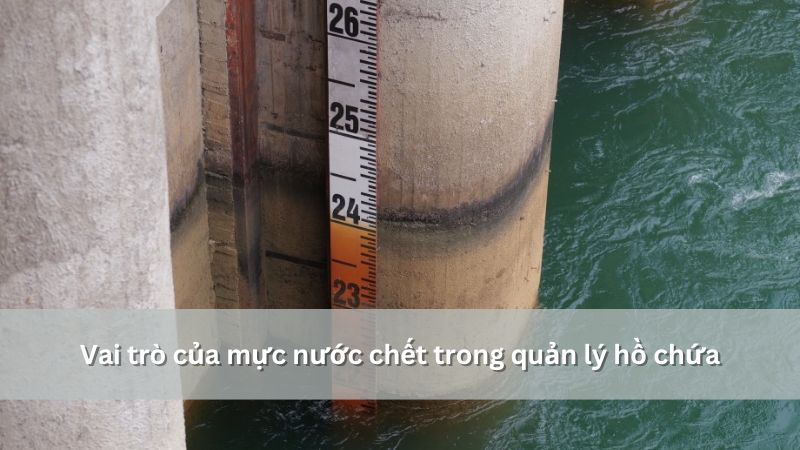 vai trò của mực nước chết